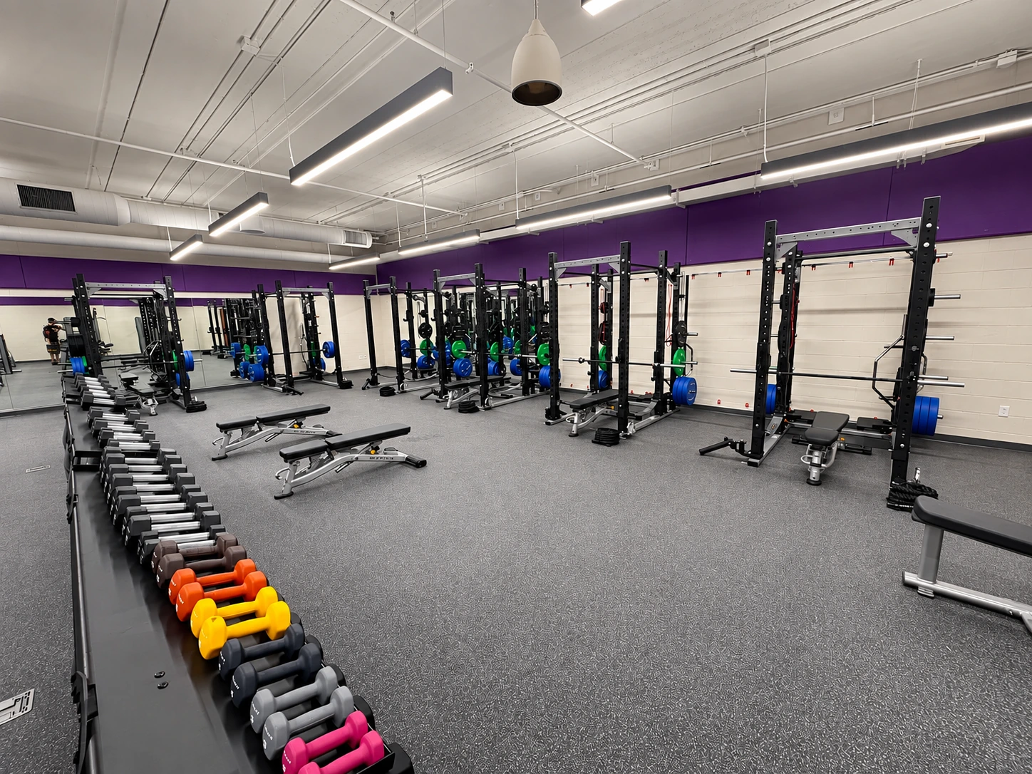 Completed commercial strength room